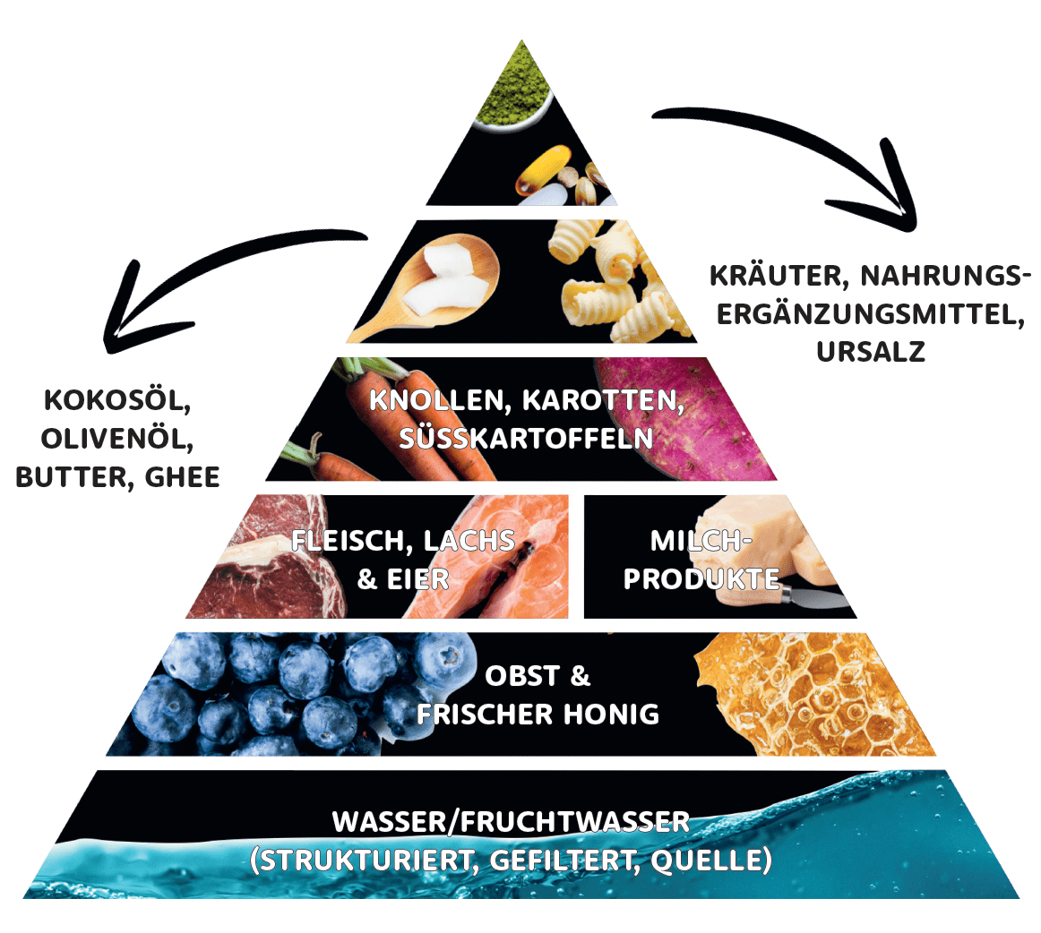 Ernährungslügen - Komplett - Edition - Deutscher Gesundheitsbuchverlag
