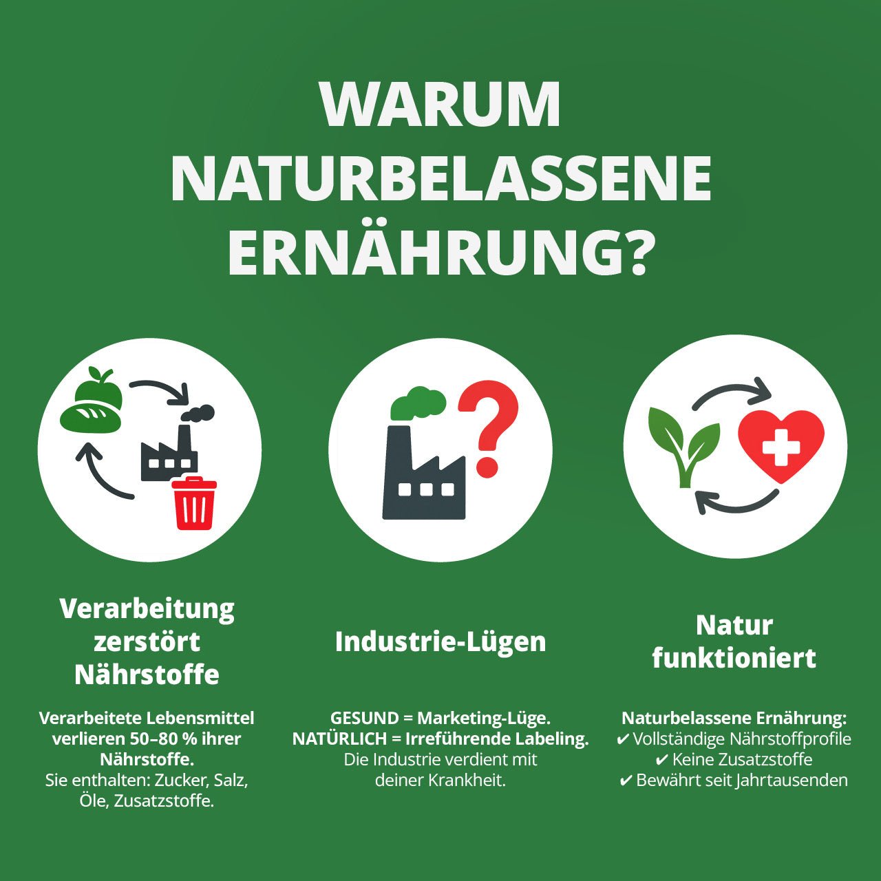 Die Krankheitslügen - Deutscher Gesundheitsbuchverlag