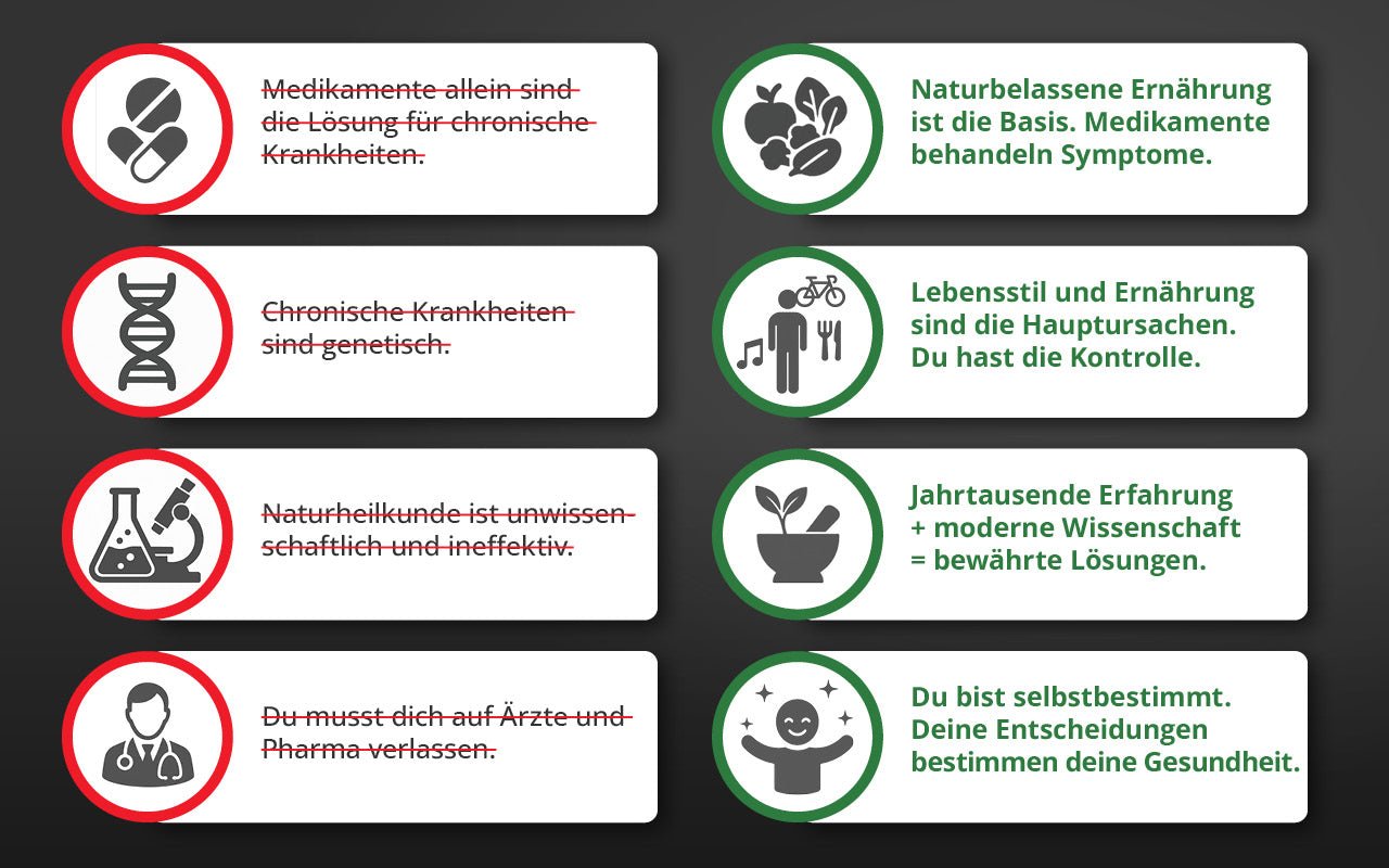 Die Krankheitslügen - Deutscher Gesundheitsbuchverlag