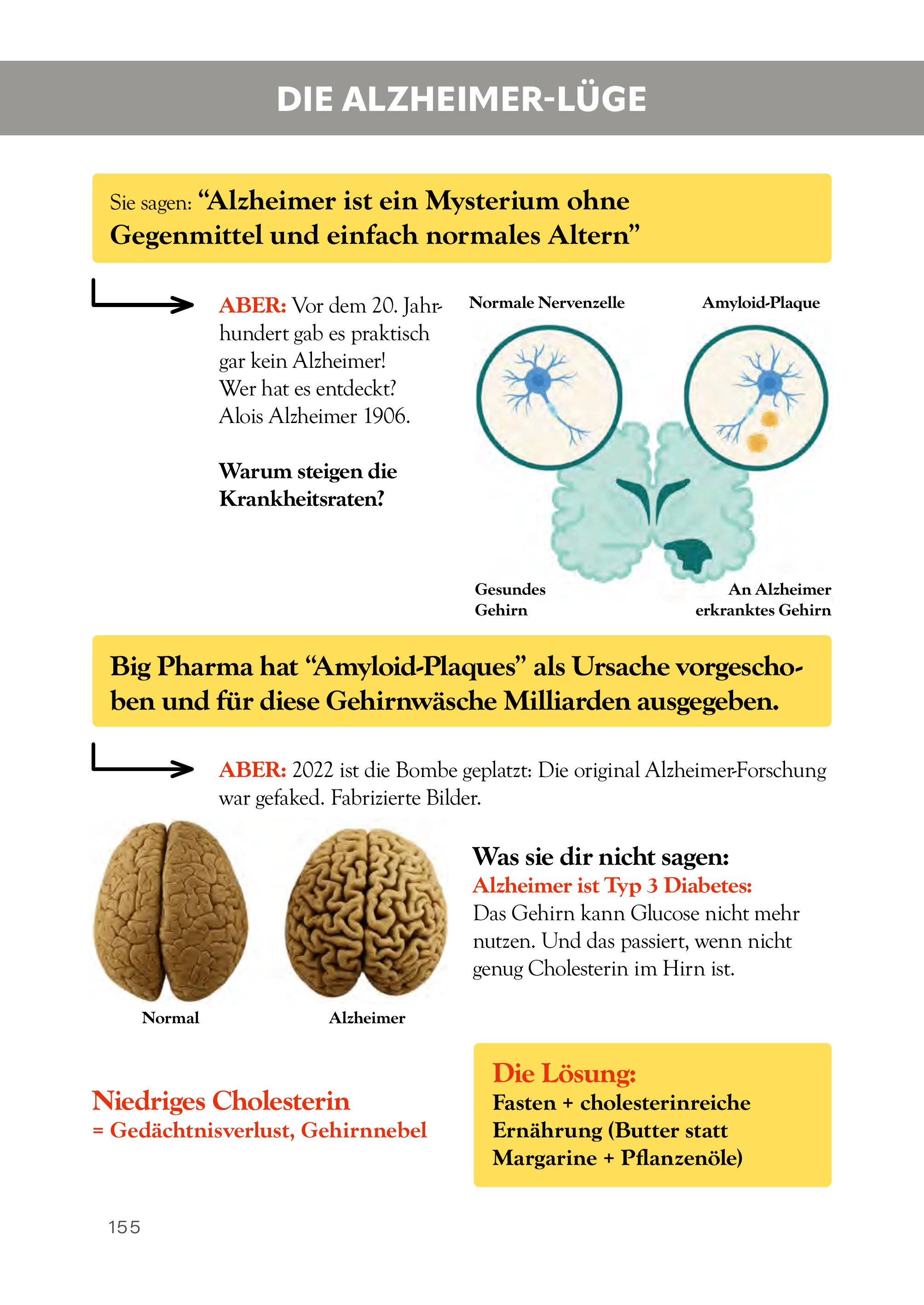 Die Krankheitslügen - Was man macht, um nicht krank zu werden. - Deutscher Gesundheitsbuchverlag